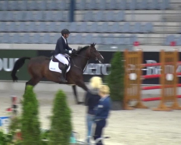 Reitturnier Aachen 2020