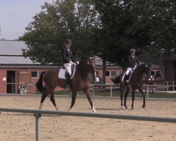 Reitturnier Ascheberg 2020