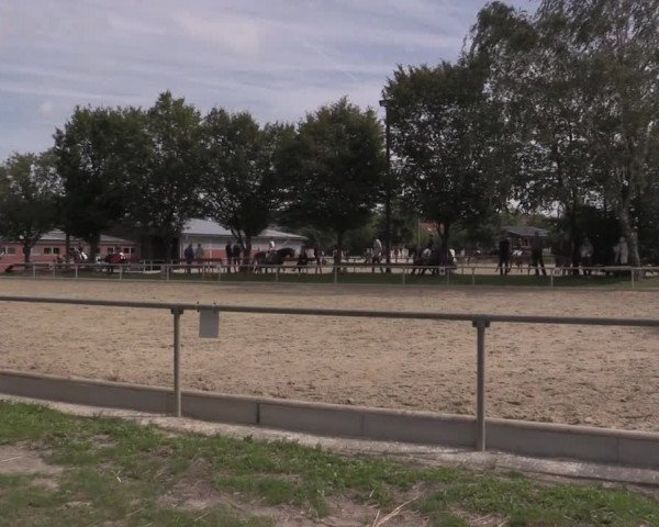 Reitturnier Ascheberg 2020