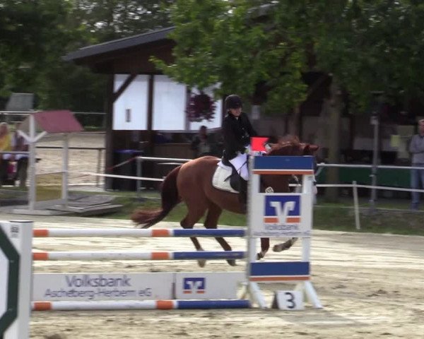 Reitturnier Ascheberg 2020