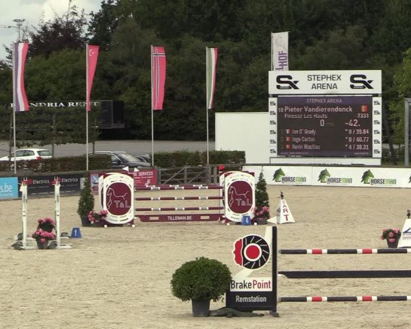 GOLDLEAGUE Lier - CS N 6323 - Azelhof