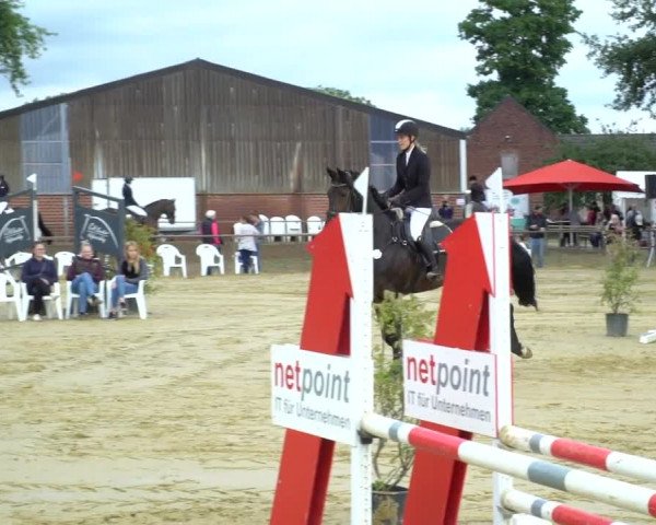 Reitturnier Willich-Anrath-Neersen 2020