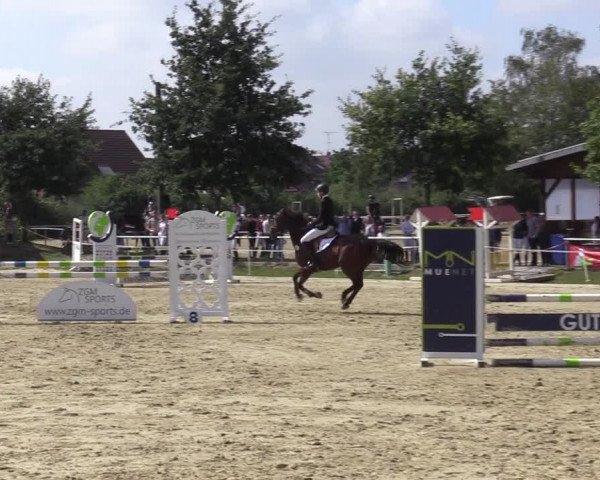 Reitturnier Ascheberg 2020