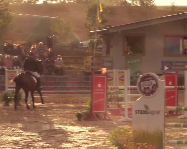 Reitturnier Duderstadt 2020