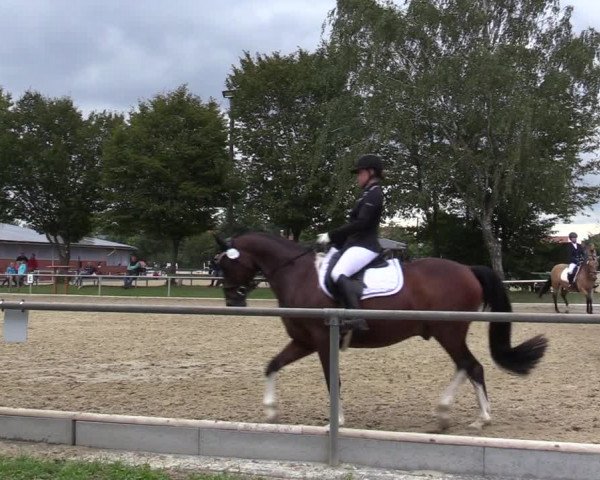 Reitturnier Ascheberg 2020