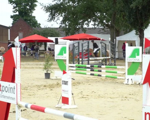 Reitturnier Willich-Anrath-Neersen 2020