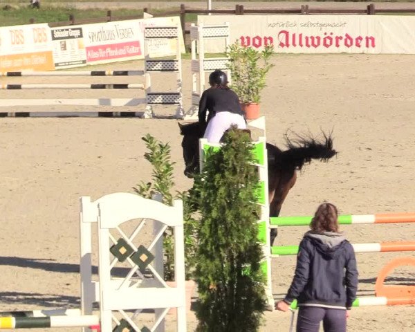 Reitturnier Westergellersen 2020