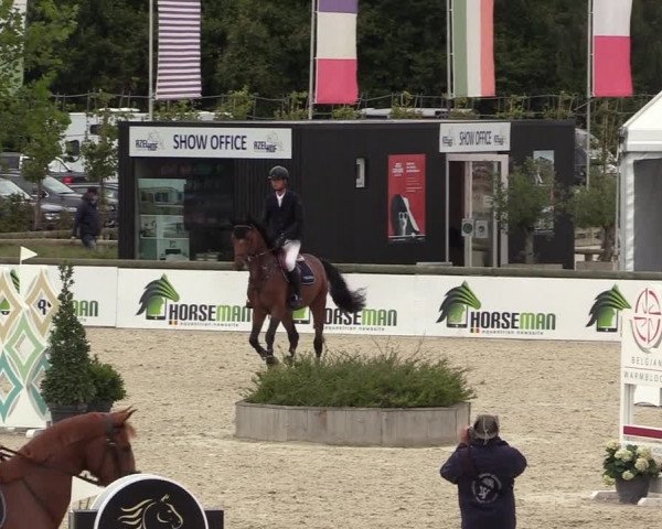 Belgisch Kampioenschap 4-5 Jarigen Paarden
