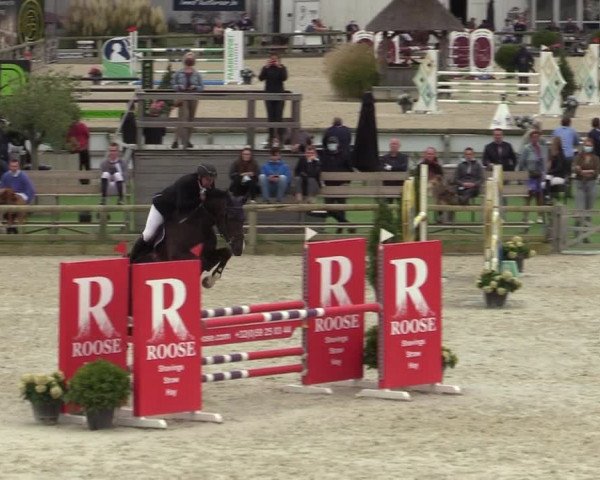Belgisch Kampioenschap 4-5 Jarigen Paarden