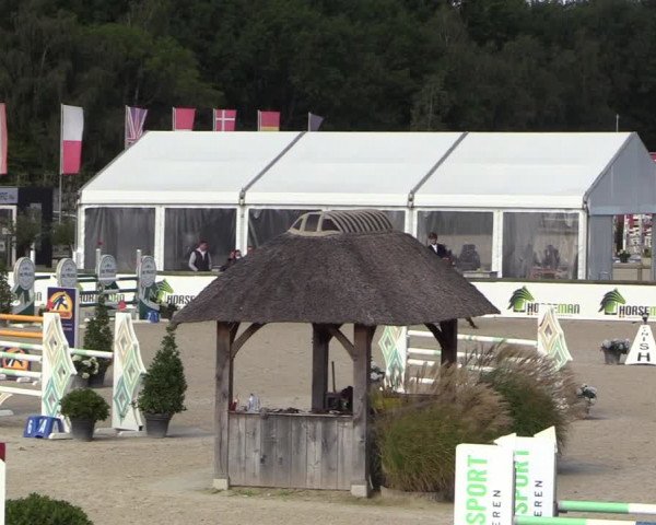 Belgisch Kampioenschap 4-5 Jarigen Paarden