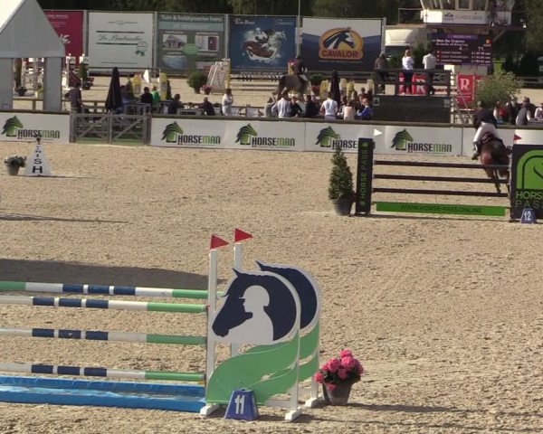 Belgisch Kampioenschap 4-5 Jarigen Paarden