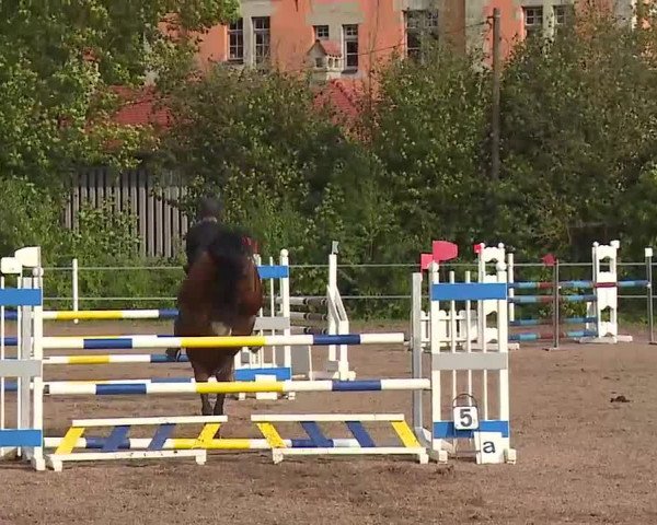 Reitturnier Demantsfürth/Mfr. 2020