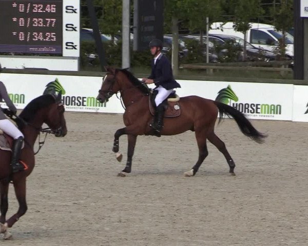 Belgisch Kampioenschap 4-5 Jarigen Paarden