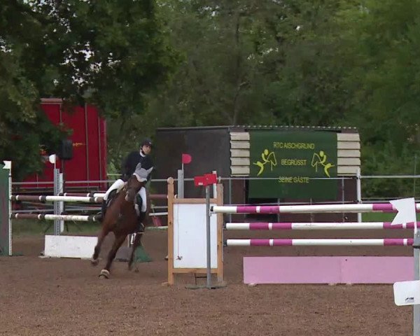 Reitturnier Demantsfürth/Mfr. 2020
