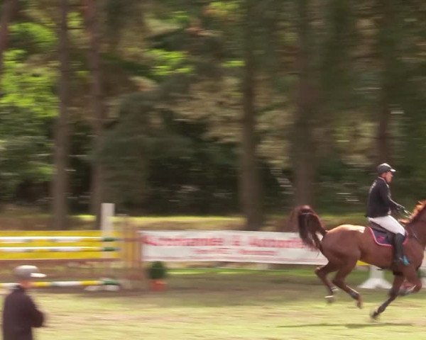 Reitturnier Pasewalk 2020
