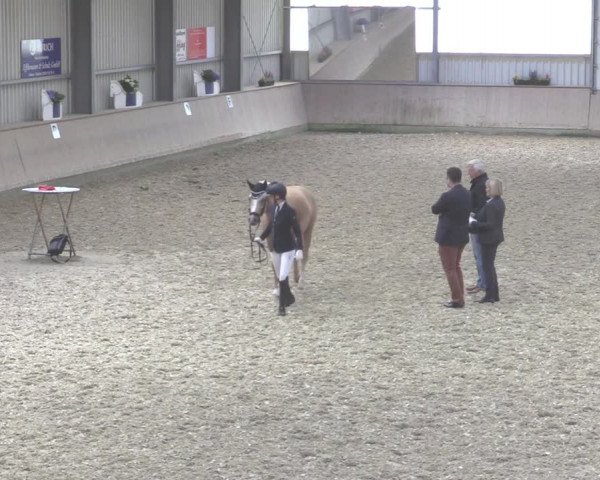 Reitturnier Ahaus 2020