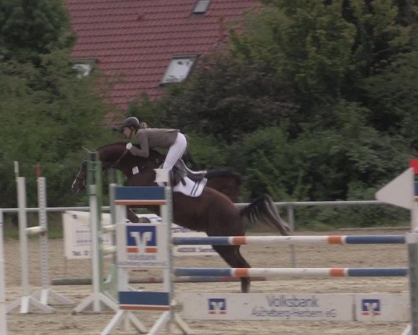 Reitturnier Ascheberg 2020