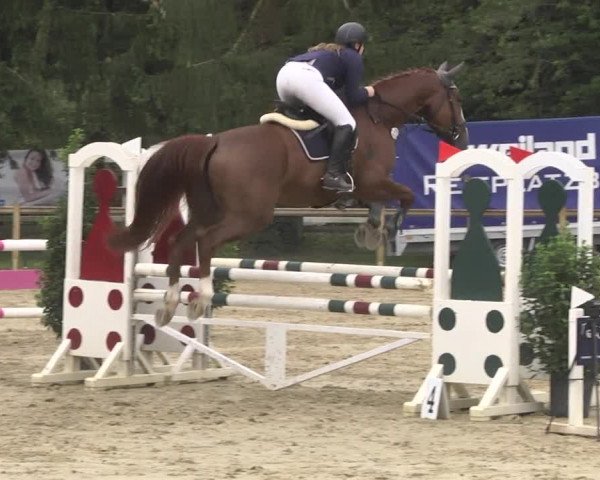 Reitturnier Walldorf/Winterheck 2020