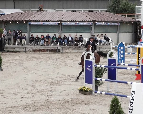 Reitturnier Humlikon 2020