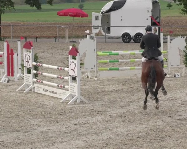 Reitturnier Ehningen 2020