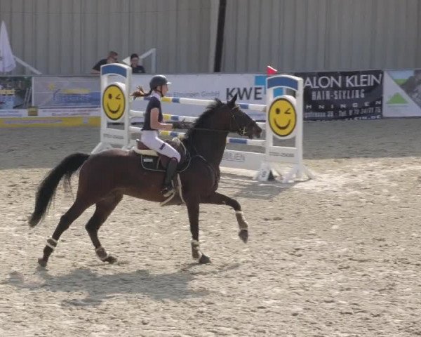 Reitturnier Ehningen 2020