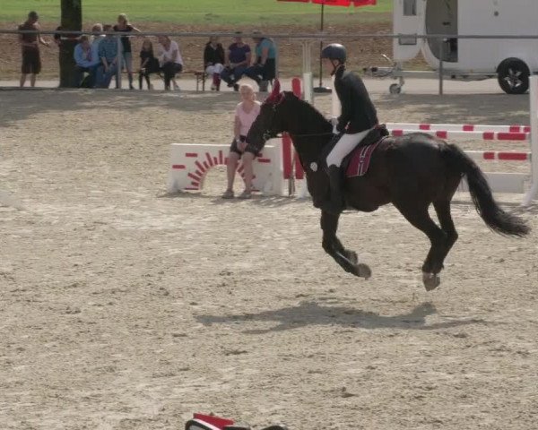Reitturnier Ehningen 2020