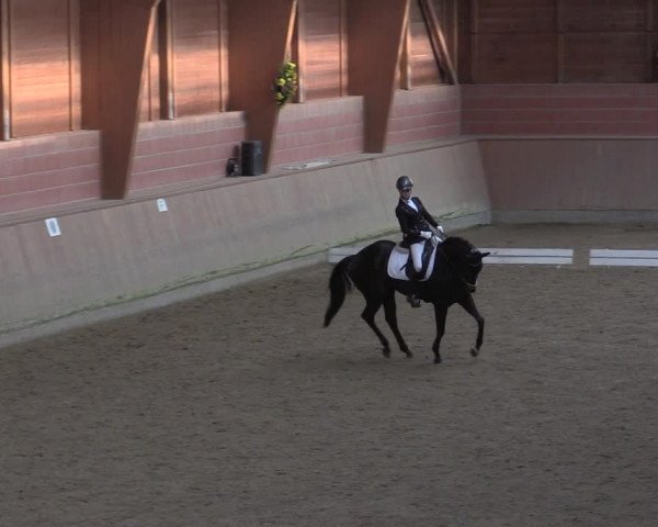 Reitturnier Dortmund-Barop 2020
