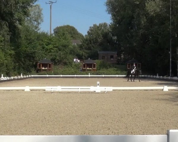 Reitturnier Mettmann - Reitanlage Löckenhoff 2020