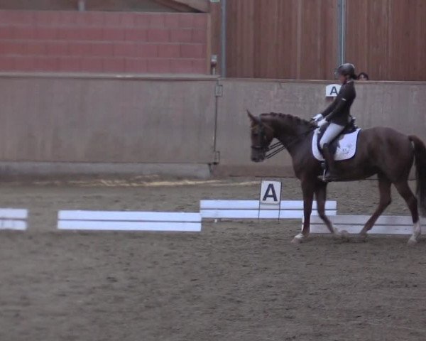 Reitturnier Dortmund-Barop 2020