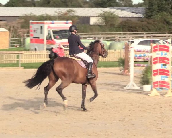 Reitturnier Schülp / Rendsburg 2020