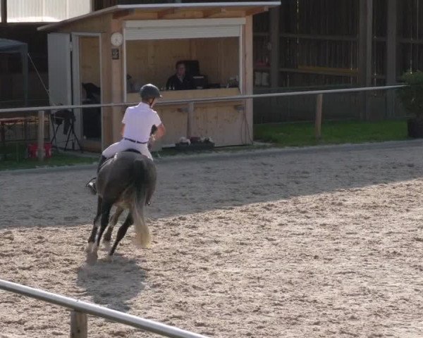 Reitturnier Köngen 2020