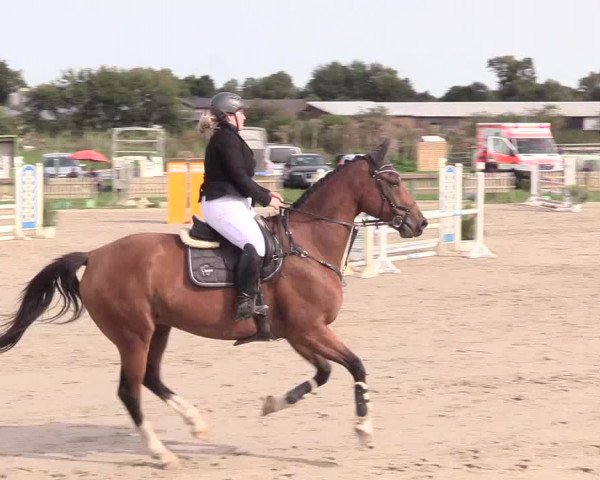 Reitturnier Schülp / Rendsburg 2020