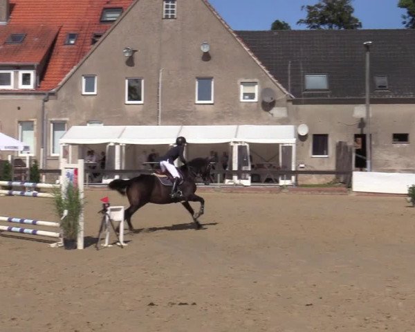 Reitturnier Buchenhof-Ibbenbüren 2020
