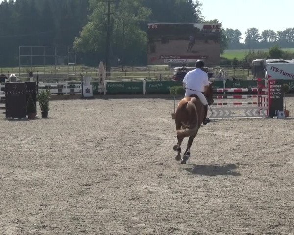 Reitturnier Sauldorf-Boll 2020