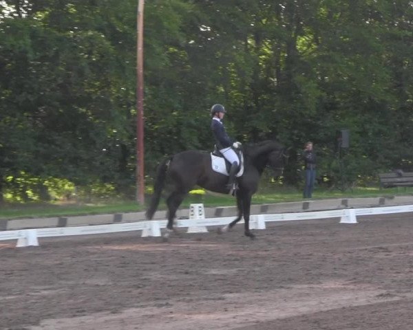 Reitturnier Dallgow 2020