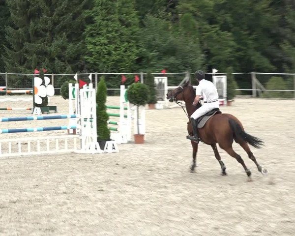 Reitturnier Winkel 2020