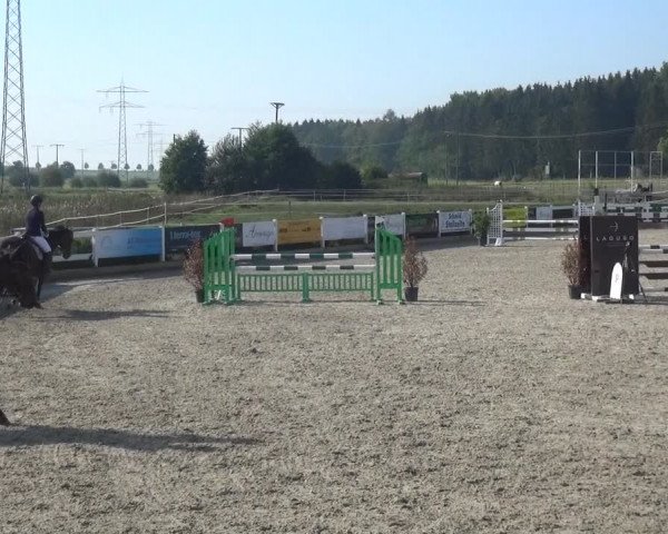 Reitturnier Sauldorf-Boll 2020