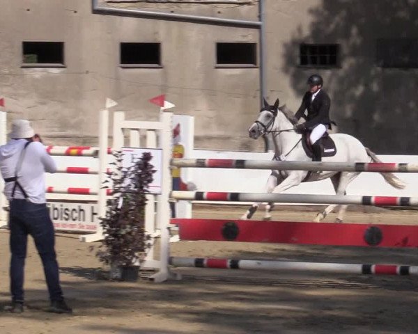 Reitturnier Buchenhof-Ibbenbüren 2020