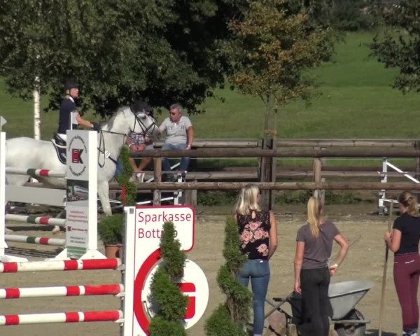 Reitturnier Kirchhellen/Stall Dieckmann 2020