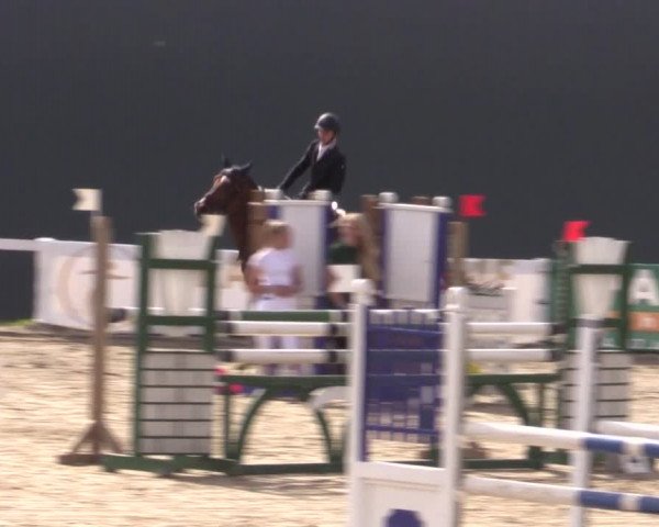 Reitturnier Bad Schmiedeberg 2020
