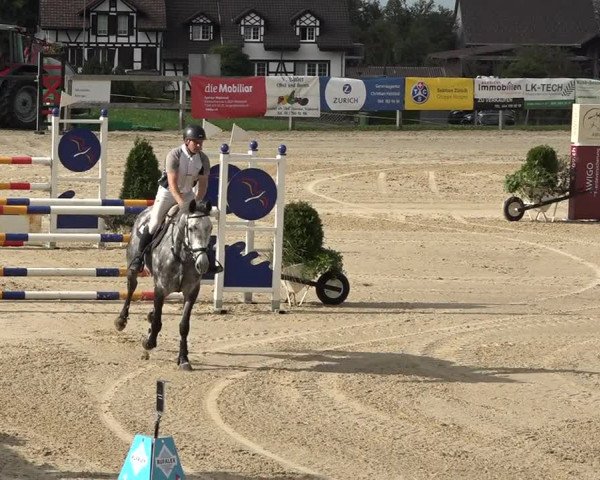 Reitturnier Wädenswil 2020