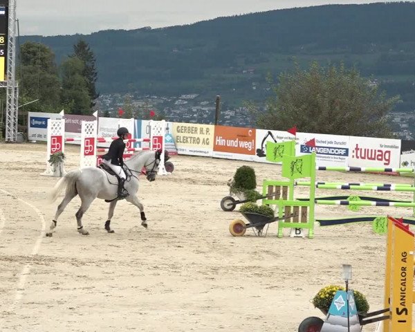 Reitturnier Wädenswil 2020