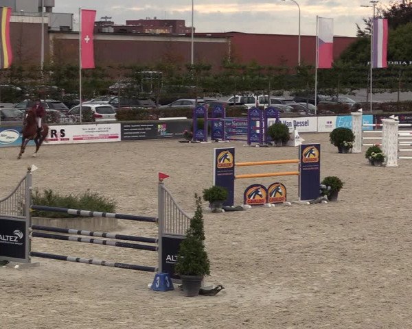 FEI Reitturnier Lier (BEL) 2020