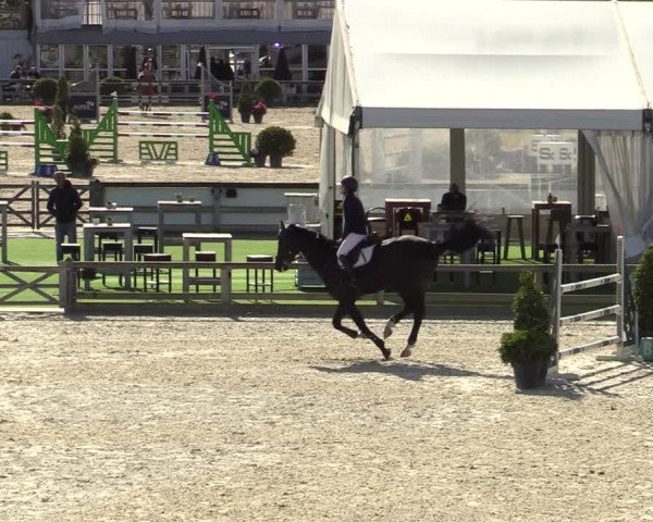 FEI Reitturnier Lier (BEL) 2020
