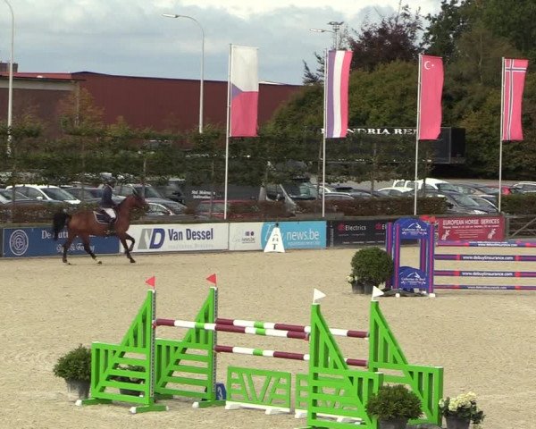 FEI Reitturnier Lier (BEL) 2020