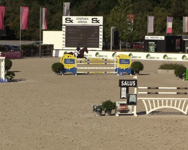 FEI Reitturnier Lier (BEL) 2020
