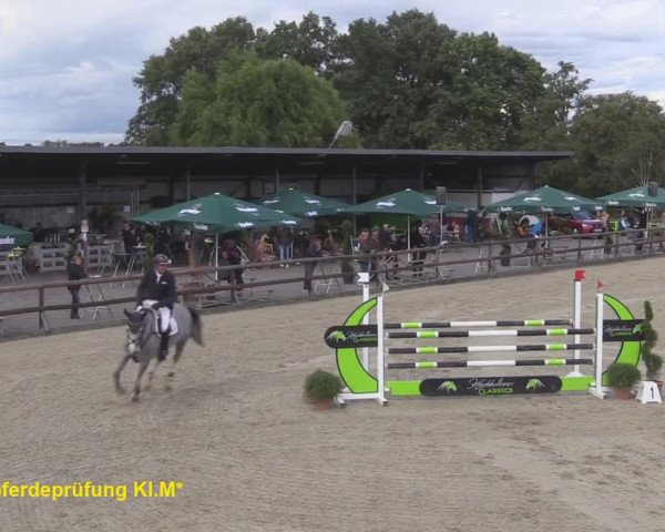 Reitturnier Kirchhellen/Stall Dieckmann 2020