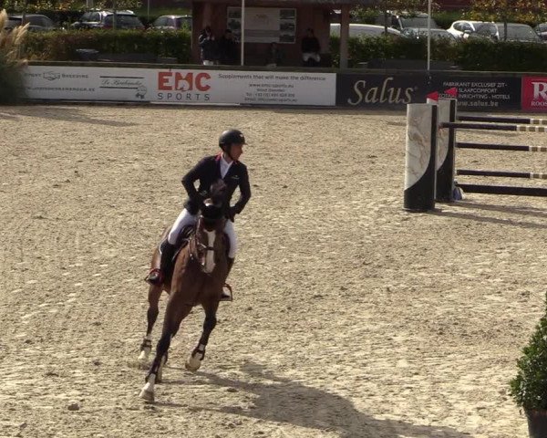 FEI Reitturnier Lier (BEL) 2020