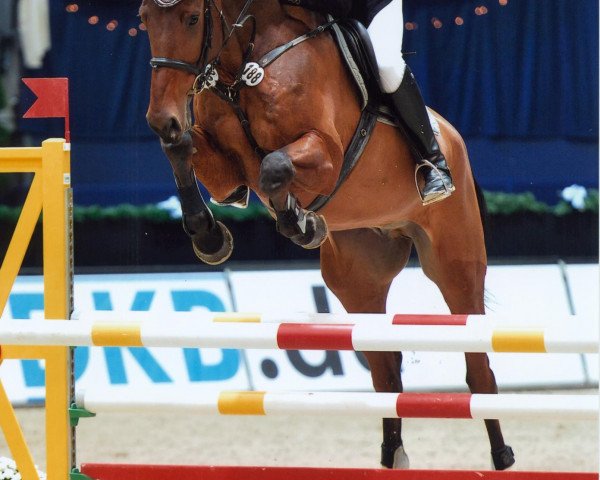 jumper Jomotion (Oldenburg, 2006, from Glock's Johnson Tn)