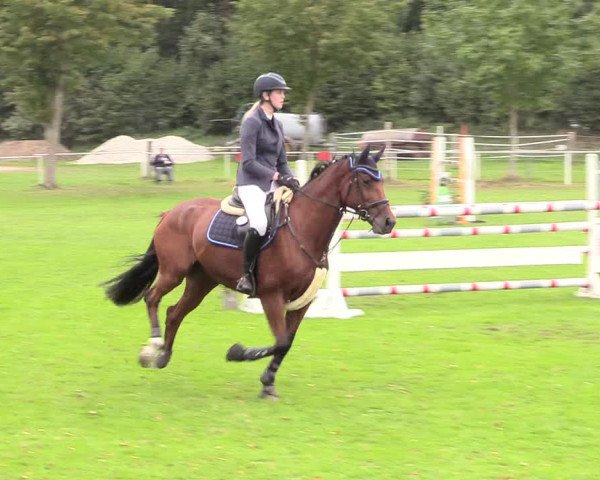 Reitturnier Kellinghusen 2020